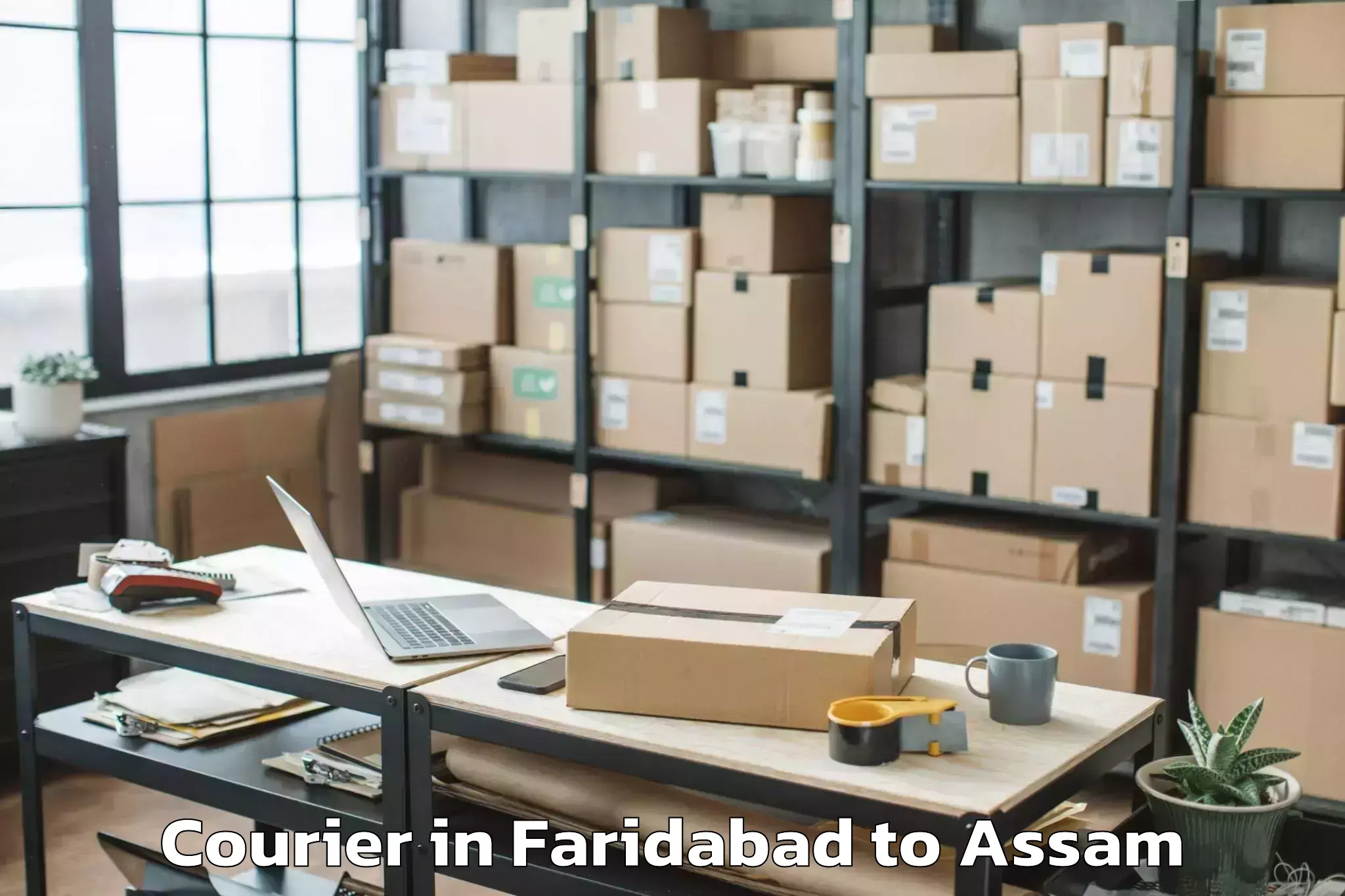 Reliable Faridabad to Dispur Courier